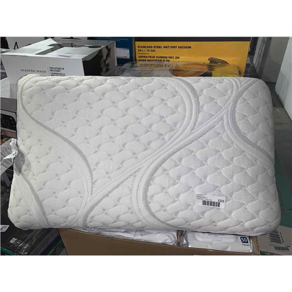 Memory Foam Pillow w/ washable Cover