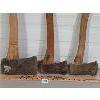 Image 2 : LOT OF 3 - WOOD HANDLE AXES 