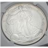 Image 2 : 2006-W Burnished American Silver Eagle NGC MS69