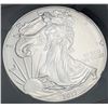 Image 1 : 2017 American Silver Eagle NGC MS69 US Mint 225th Anni.