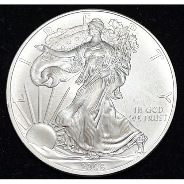 2009 American Silver Eagle