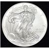 Image 1 : 2009 American Silver Eagle