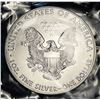 Image 2 : 2018 American Silver Eagle