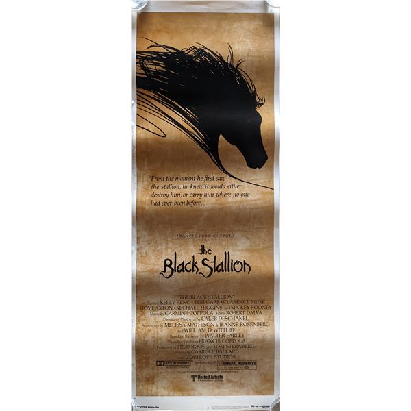 The Black Stallion insert card