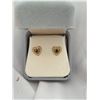 Image 1 : 10kt gold sapphire earrings
