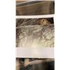 Image 8 : 2 SIGNED ROBERT BATEMAN HARDCOVER BOOKS - THE WORLD OF ROBERT BATEMAN AND AN ARTIST IN NATURE