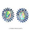 Image 1 : Natural Ethopian Unheated White Opal & Sapphire Earrings