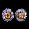Image 1 : Natural  Tanzanite Rhodolite & Citrine Earrings
