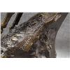 Image 7 : FREDRICK REMINGTON BRONZE