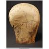 Image 6 : Lucille Ball Wig Block
