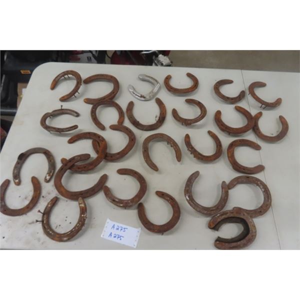 25 Assorted Lucky + Not So Lucky Horse Shoes