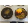 Image 4 : 12 Collector Plates - Royal Vistas, Avon, Plus More 