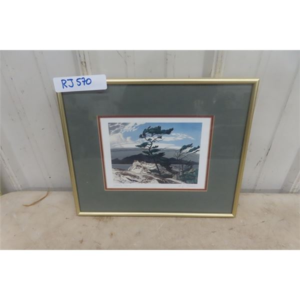 AJ Casson "White Pine" Framed Print 13'' x 11'' 