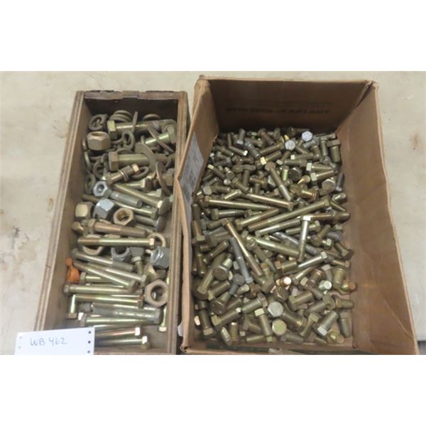 Assorted Carriage Bolts 2" - 8" 