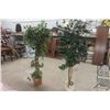 Image 1 : 2 Artificial Plants - Approx. 80'' Tall 