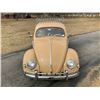Image 16 : 1955 VOLKSWAGON BEETLE