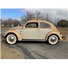 Image 4 : 1955 VOLKSWAGON BEETLE