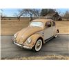 Image 7 : 1955 VOLKSWAGON BEETLE