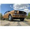 Image 8 : 1965 FORD MUSTANG CONVERTIBLE