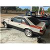 Image 8 : 1981 FORD MUSTANG COBRA HATCHBACK