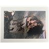 Image 1 : Marilyn Burns signed photo