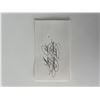 Image 1 : Disney Legend Mary Costa original signature