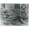 Image 1 : Phyllis Diller signed movie photo