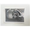 Image 1 : Newspaper columnist Mike Royko signed photo