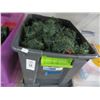 Image 2 : Tubs (3) w/Picture Paper & Christmas Items