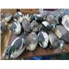 Image 1 : 12-Decoy Ducks - 12 X $