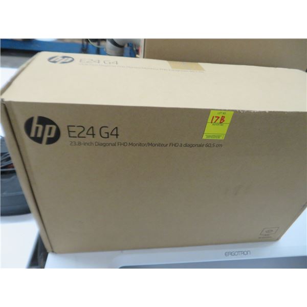 HP 24" FHD Monitor