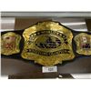 Image 2 : PROFESSIONALLY CONSTRUCTED WRESTLING BELT