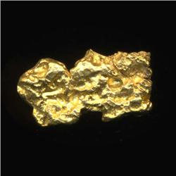 Gold Nugget 31.5 Grains Pure 22-24K (COI-5203)