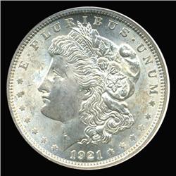 1921 Morgan Dollar Graded MS64 (COI-5227)