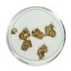 Image 1 : Lot of Gold Nuggets 3.20 Grams Total Weight