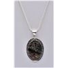 Picture Jasper Pendant Necklace