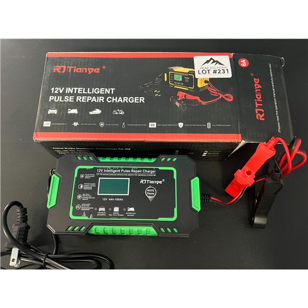 Lot of 1 12V Intelligent Pulse Repair Charger