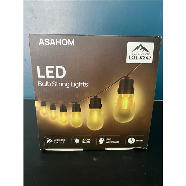 Lot of 1 Asahom LED Bulb String Lights w/ Wireless Control