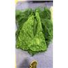 Image 2 : NEW 2 PC GREEN DRESS AND FANCY ELSA INSPIRED DRESS SIZE 12