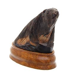 Water Buffalo Horn Scrimshaw Bear RARE  (CLB-425)