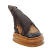 Image 2 : Water Buffalo Horn Scrimshaw Bear RARE  (CLB-425)