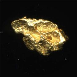 Gold Nugget 65 Grains Pure 22-24K (COI-5198)