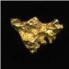 Gold Nugget 67.5 Grains Pure 22-24K (COI-5200)