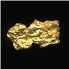 Gold Nugget 31.5 Grains Pure 22-24K (COI-5203)