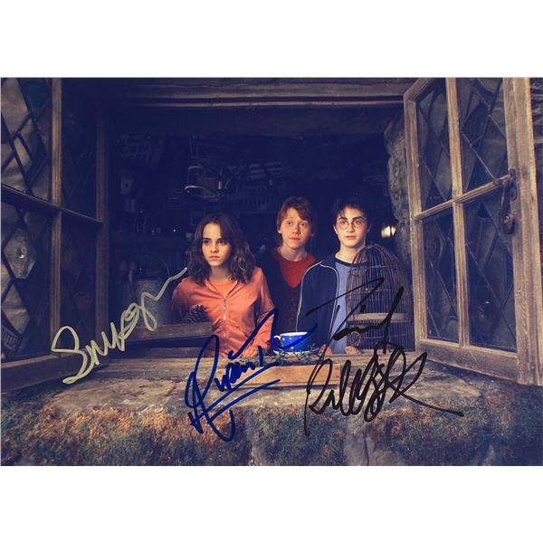 Autograph Signed Harry Potter Photo
