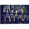 Image 1 : Autograph Signed  Fall Out Boy Photo