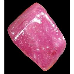 57.78ct Excellent Hot Red/Pink Natural Rough Ruby (GEM-15956)