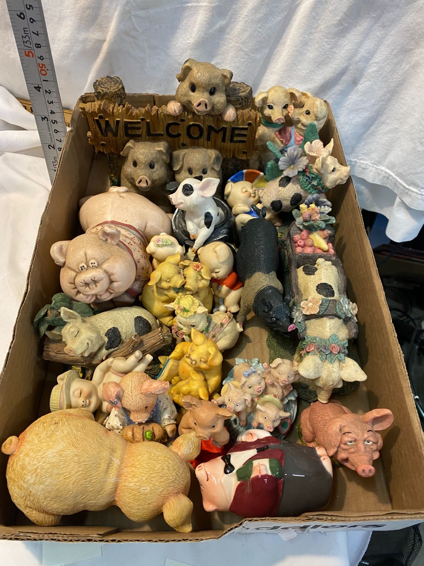Pig collection