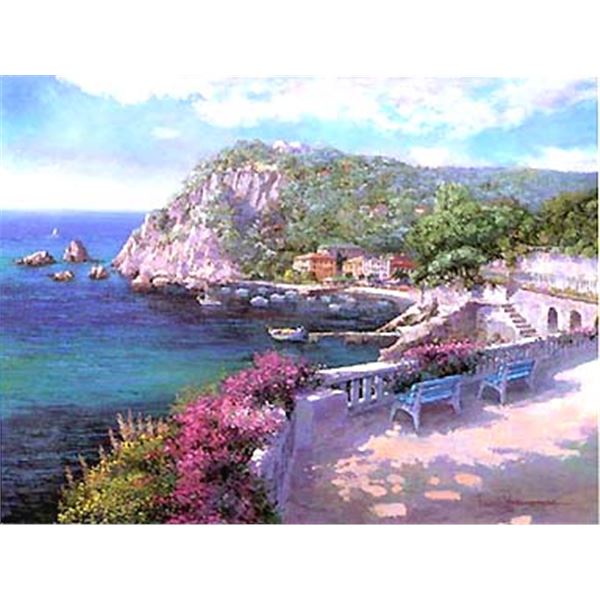 Costa Brava by Sam Park