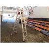 Image 1 : Mastercraft 2 Way Adjustable Ladder Aprox 14' When Extended